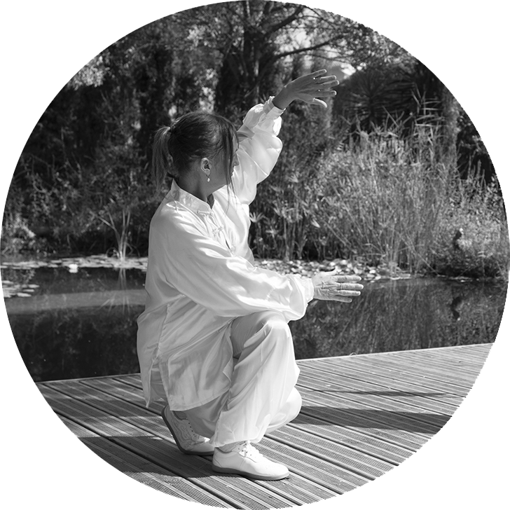 qi gong, gi gong argeles, topzen